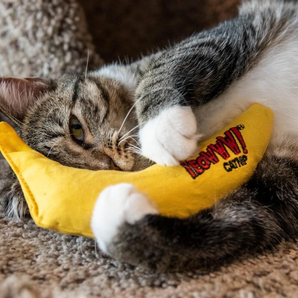 猫咪在玩香蕉玩具